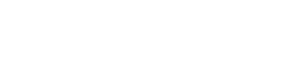 DSN-Logo-White-PNG